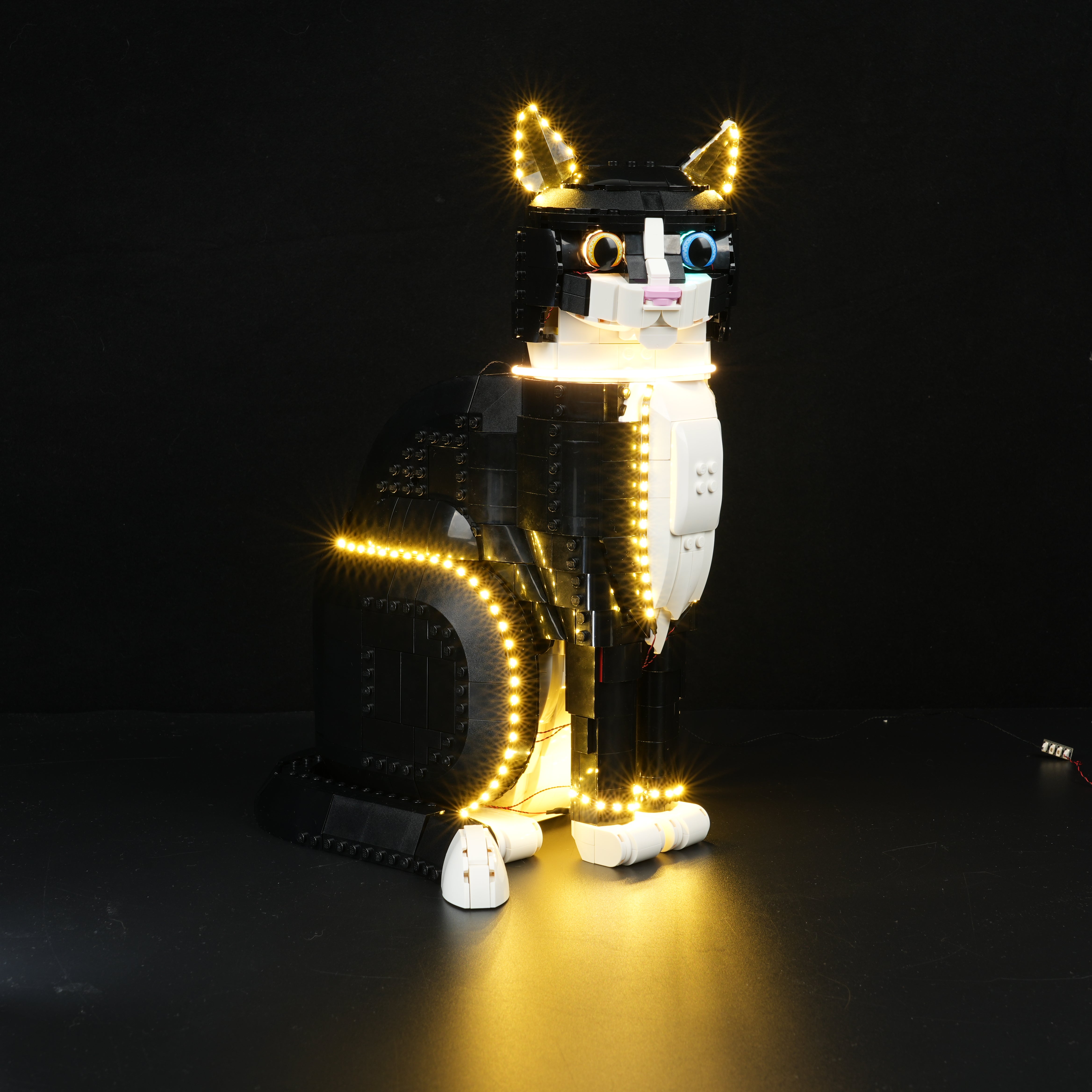 Nookbricks Light Kit for LEGO Ideas Tuxedo Cat #21349